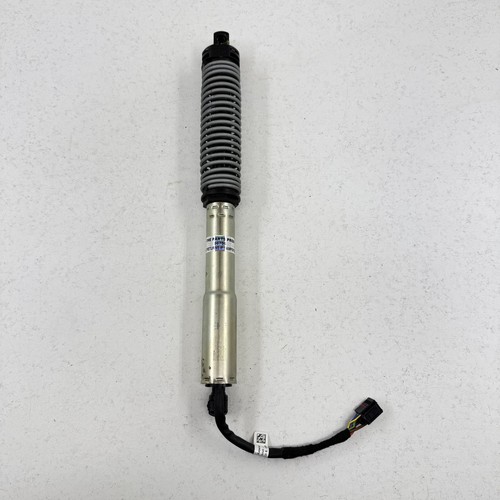 Maserati Quattroporte 2014-2024 Rear Strut assembly P/N 670033058 Photo - $90