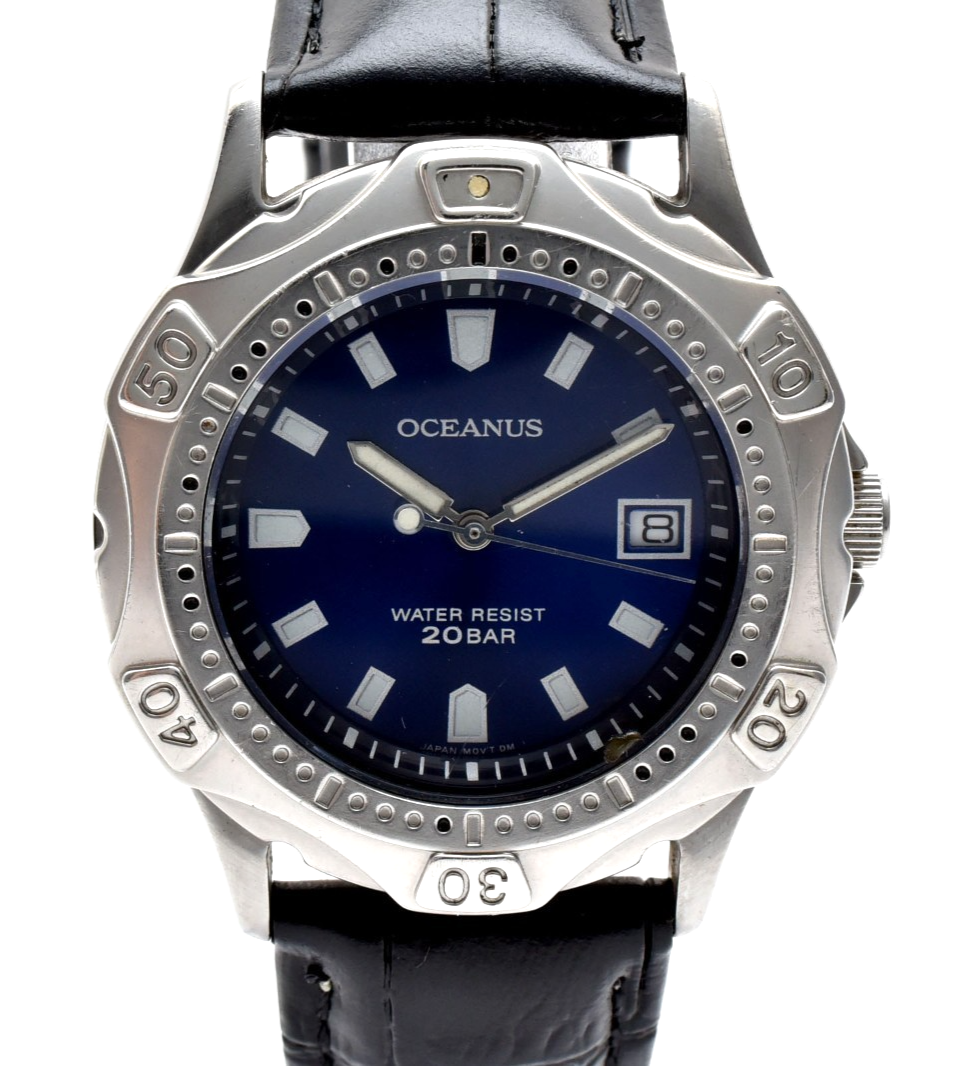 ビカクシダ Oceanbeaw ビカクシダ オーシャン ウェーブ （子株） | SHOUCHIKUEN