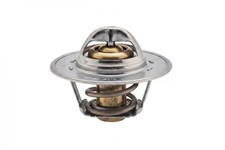 Thermostat Rover 111
