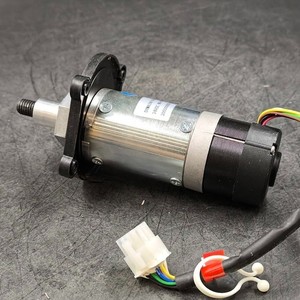 Roboter-Rasenmäher 17947 DYMA196-D44-20 Elektromotor für Rasenmäher Gebraucht