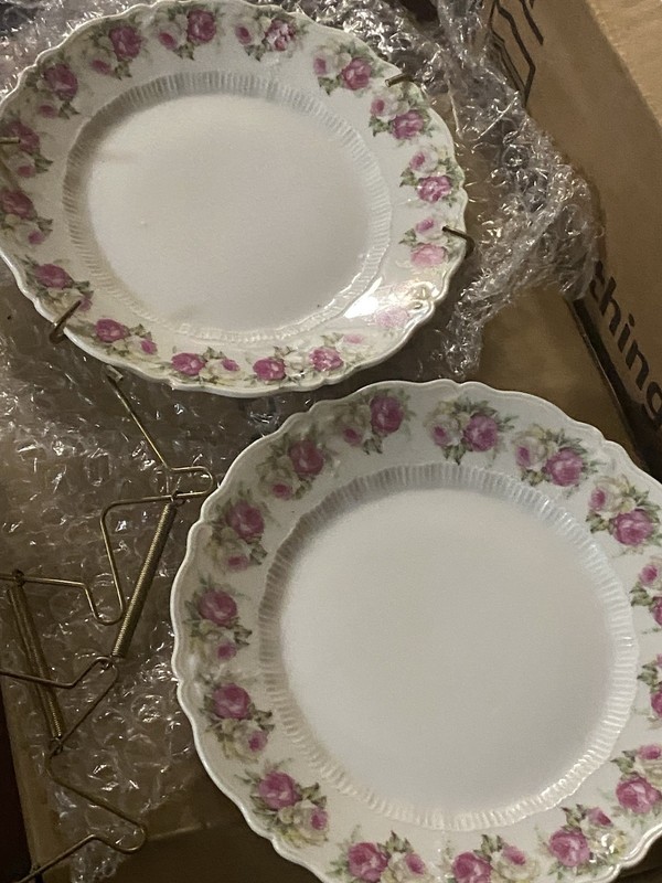 Carl Tielsch (C.T.) Antique Queen Anna Dessert  Plates 1875-1909 Germany