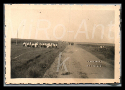 Foto, WK2, 10./A.R.129, Vormarsch, vorbei an russ. Schnitterinnen, 1941; L113L