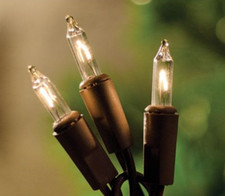 Warm White Light Set, 20 Count, Brown Cord, Indoor Outdoor Lights