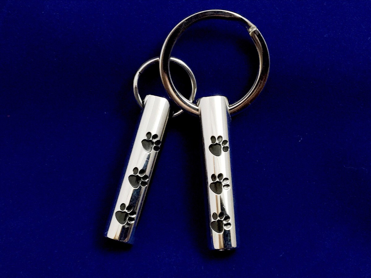 Minicremation Crematie Sieraden Urn Ketting voor As voor Huisdier, Poot Print Memorial Ash Sieraden, Keepsake Hanger voor Huisdier Kat Hond As met Vulkit, Roestvrij staal