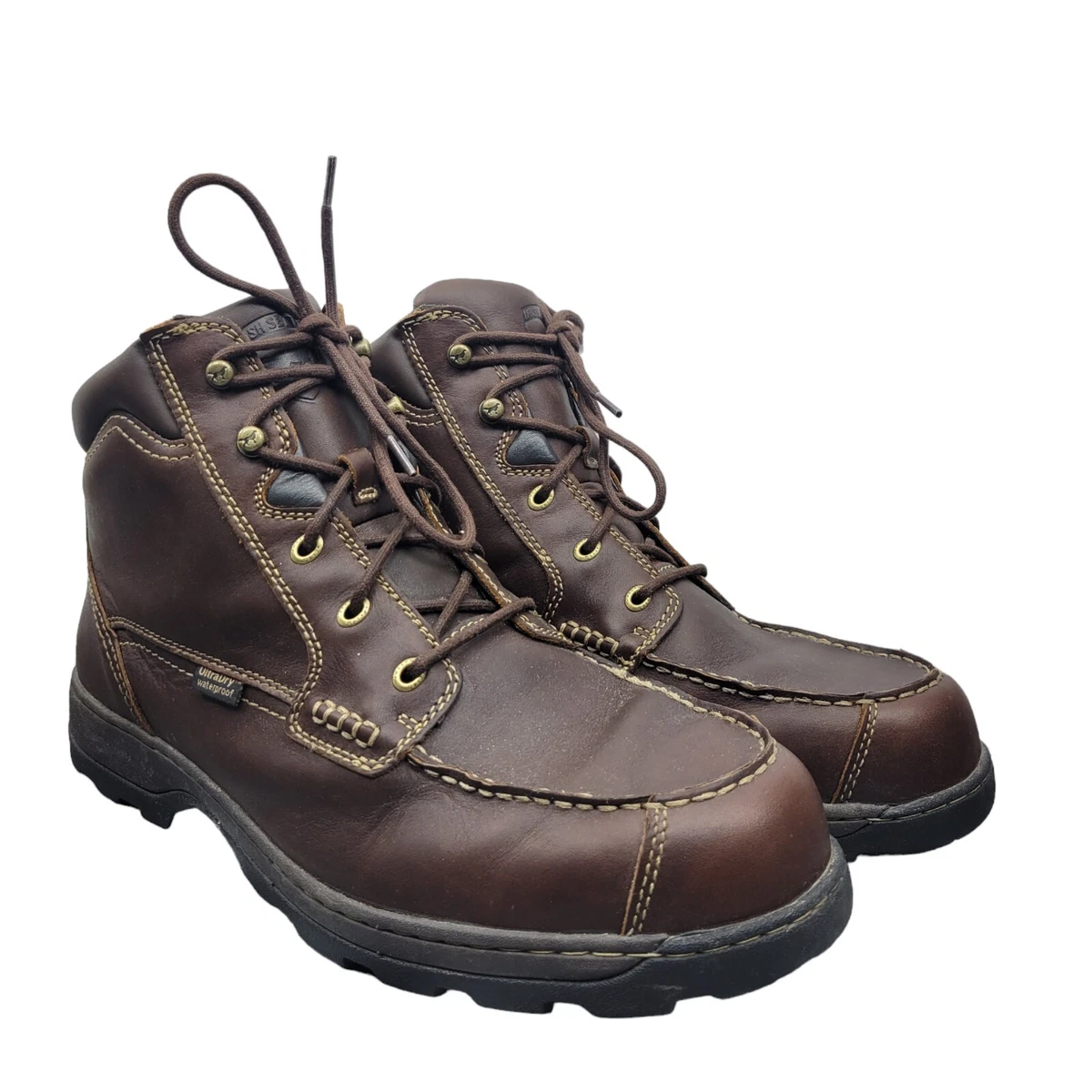 Irish hotsell setter 3875
