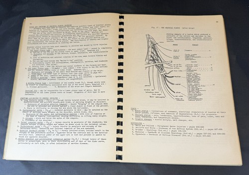 Vintage Correlative Neuroanatomy Third Edition Printed 1943 - Picture 7 of 9
