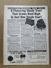 Naked Truth Vol 1 No 1 July 1964 Jane Fonda Sinatra Cassius Clay Magazine — photo 4