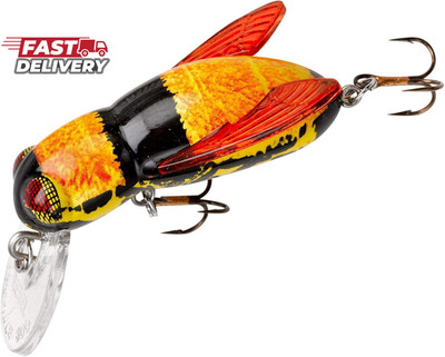 Rebel Lures Bumble Bug Topwater / Crankbait Fishing Lure, 1 1/2 Inch, 7/64 Ounce