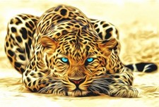 Paint By Numbers Kit Leopard 40CMx50CM Canvas