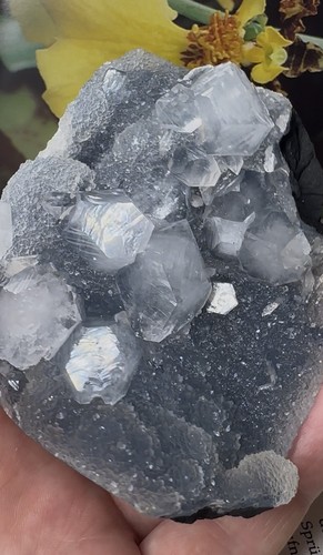 Apophyllit auf Chalcedon + Stilbit An Matrix Mineralien Edelstein Stufe (Indien) Apophyllit auf Chalcedon + Stilbit An Matrix Mineralien Edelstein Stufe (Indien)