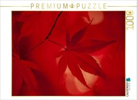 Calvendo Puzzle Japanese Maple - Autumn Colors | 1000 Pieces, Finished Size 25.2