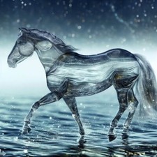 ENCHANTED PARANORMAL HAUNTED Hippocampus Harmony, good luck, refreshing, bond