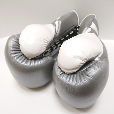 PRIZE RING Boxing Gloves 14oz Silver/White Lace-up type from Japan