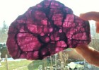Bild 9 von 9