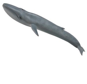 blue whale figure