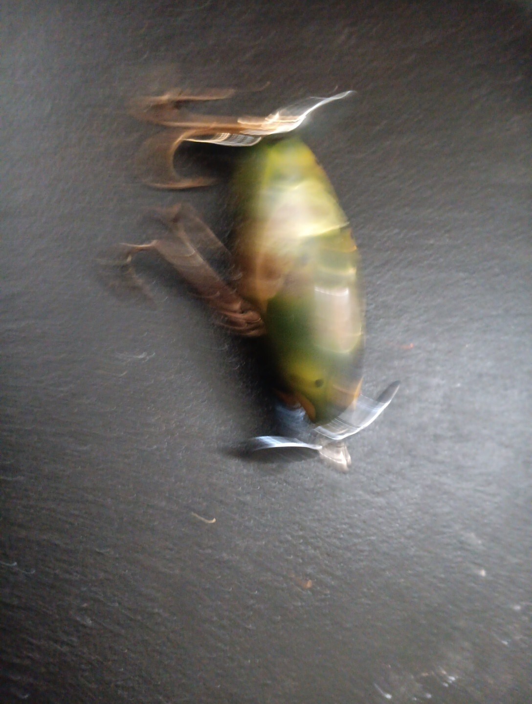 Picture 4 of 6