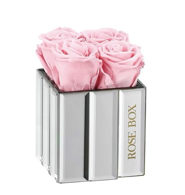 Rose Box Light Pink Roses Mirror Modern Mirror 