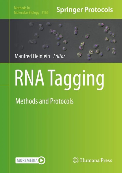 Manfred Heinlein | RNA Tagging | Buch | Englisch (2020) | Methods And Protocols-image