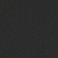 Nissan Black Leather Dye