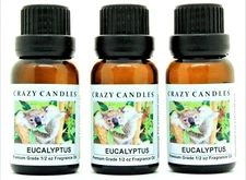 3 Eucalyptus 1/2oz Premium Grade Scented Fragrance Oil Crazy Candles