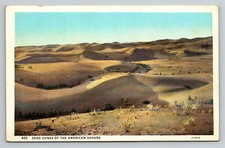 Sahara Desert Sand Dunes Postcard