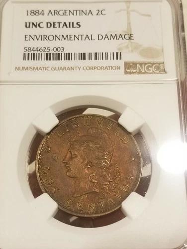 ARGENTINA 2 CENTAVOS 1884 NGC slabbed coin better than it looks