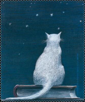 Schönes Rannenberg & Friends Brillenputztuch / Microfasertuch ''Katze auf Buch''
