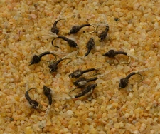 WD40 Espresso Emerger Midge Nymph Fly - 1 Doz Flies  - Mustad Signature Hook