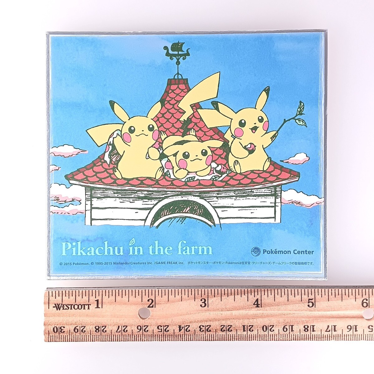 Pikachu in the Farm Pokemon Center Shikishi Art Japanese Nintendo