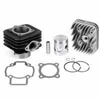 DR Zylinderkit 71Ccm AC (FüR: Piaggio Zip 50 AC DT ZAPC07 96-99 )