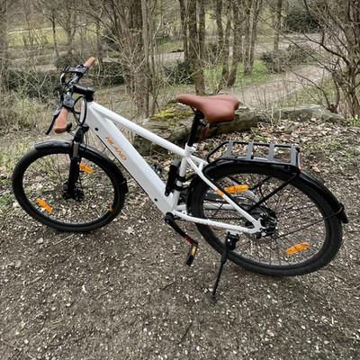 Erlebe kraftvolle Fahrten dank des 250W Motors und des 36V 7.8Ah Akkusfürbis45km