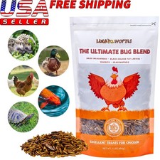 Dried Insect Trail Mix High Protein Natural Treat for Chickens Birds Reptiles