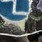 Bild 6 von 6