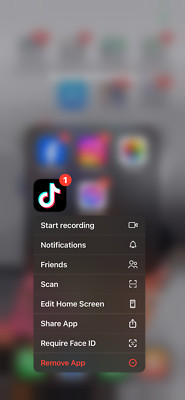  iPhone 11 Pro Max with tik tok
