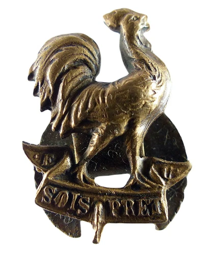 Scout Badge Be Ready