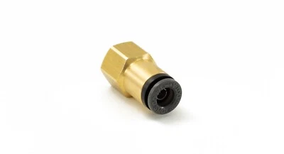 HORNBLASTERS 1/8" Female NPT to 1/4" Push to Connect Brass Fitting - Accepts 1/4" Air Line