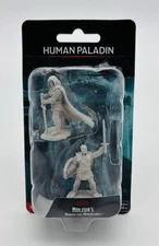 WizKids D&D: Nolzur's Marvelous Minis: Human Paladin Male Wave 14 (Unpainted)