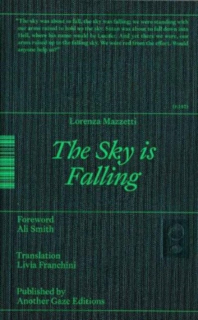 The Sky is Falling by Lorenza Mazzetti (Paperback Book)
