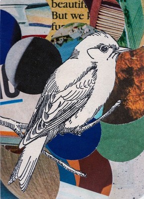 ACEO Mixed Media Collage Bird Art   Circletime Series #11 - Original Signed