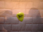 Steve Vai Guitar Pick Lot of 5 from1990's. — photo 5
