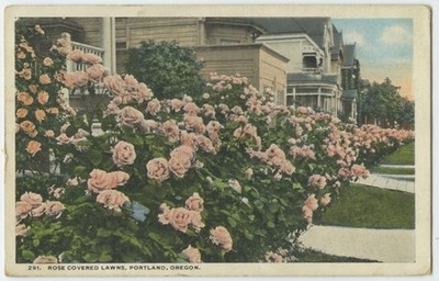 Portland Or Rose Covered Lawns 1919 Vintage Postcard Oregon White Border