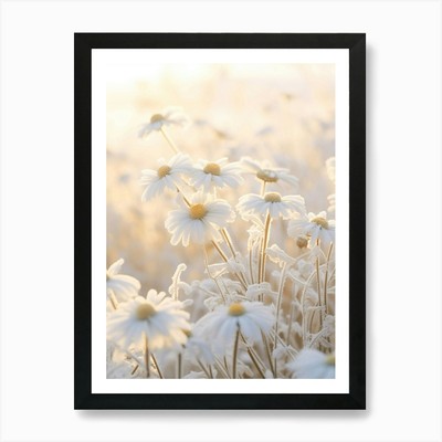 Frosty Botanical Oxeye Daisy 2 Art  Framed Wall Art Poster Canvas Print Picture