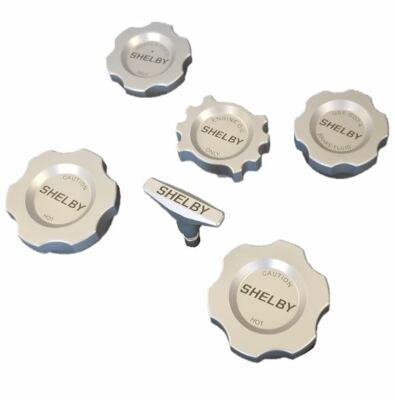 2007-2014 SHELBY GT500 6 Pc. Billet Aluminum Engine Caps Ford