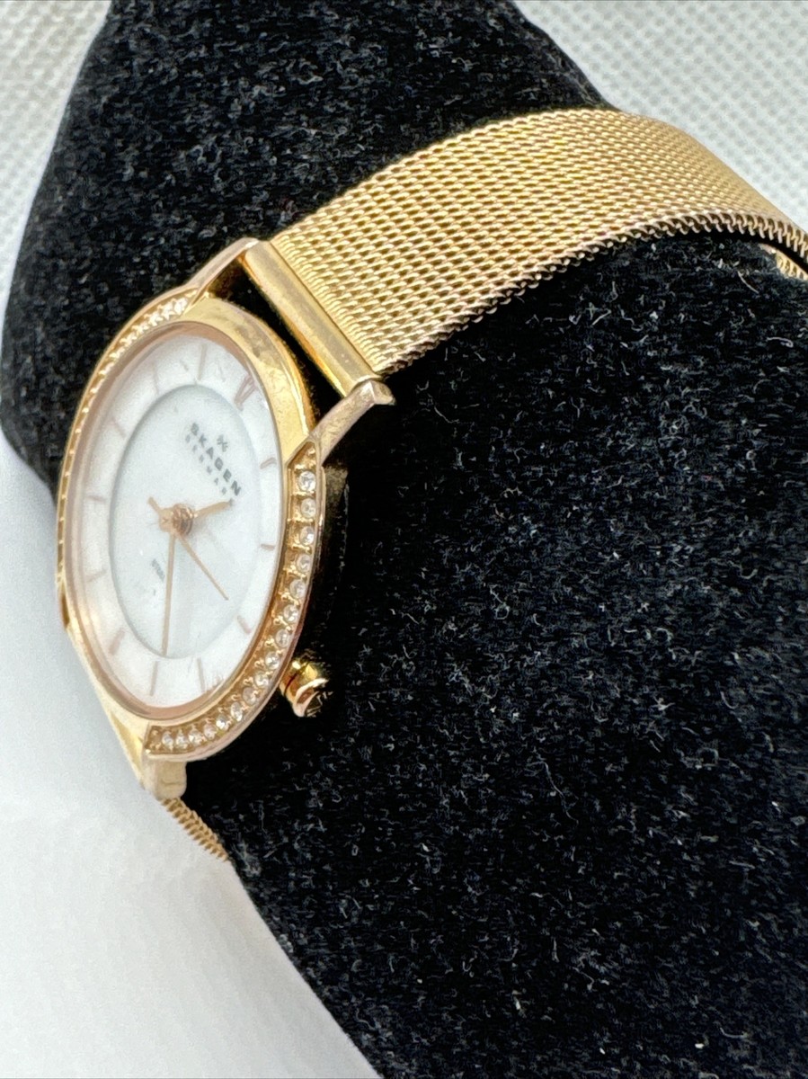 Skagen 804SRR Women display picture 1