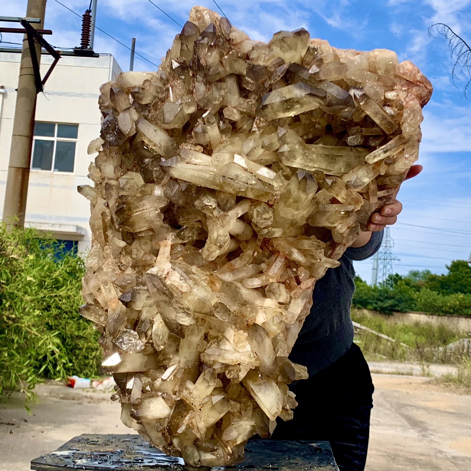 136 LB Natural Citrine Cluster Quartz Crystal Mineral Specimen for Healing