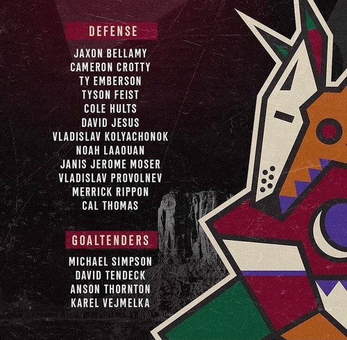Arizona Coyotes Merrick Rippon worn red #74 Practice Jersey (2021 Rookie Camp) - Bild 4 von 7