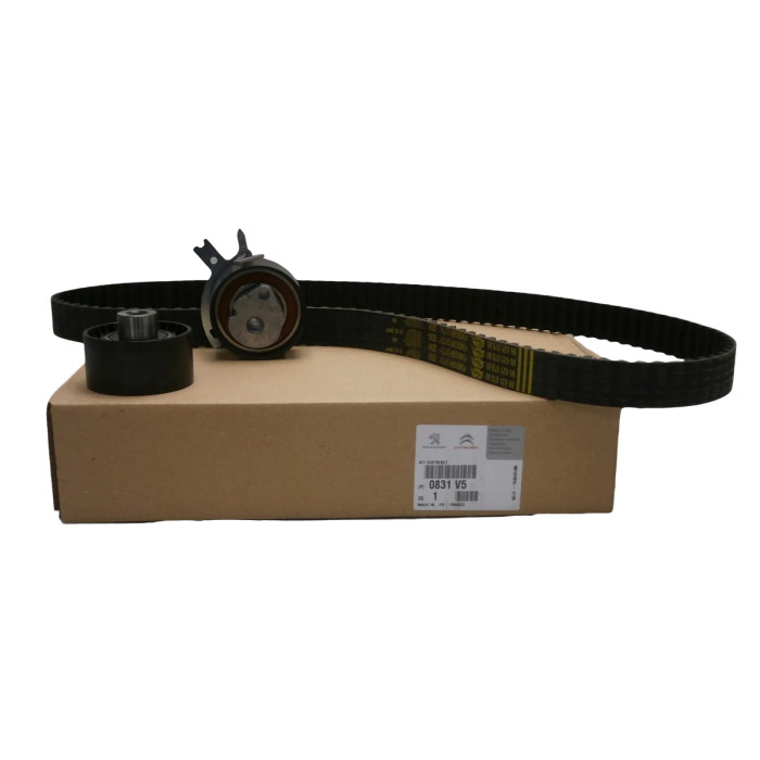 Kit distribution 71773311 pour véhicule utilitaire Ford et Citroën