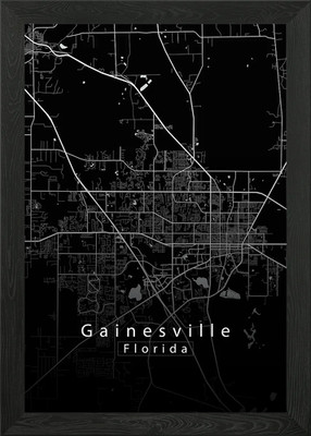 Gainesville Florida Map Framed Wall Art Poster Canvas Print Picture