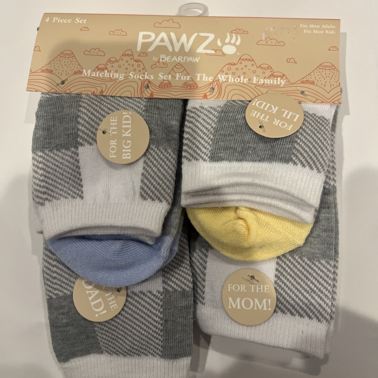 New Family Socks 4 Pair Matching Set For Christmas Gray Check Pink Blue Yellow