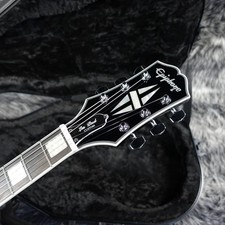 Epiphone Adam Jones Les Paul Custom Art Collection Silverburst